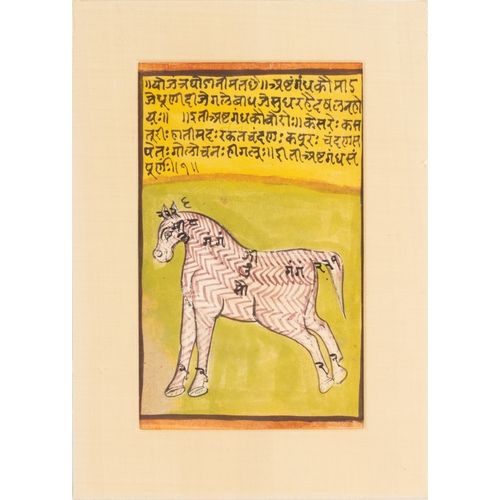 21 - ** NO RESERVE **

A Lot of 2 Indian Paintings of an Horse and Inscriptions.

Approximately 30.5cm x ... 