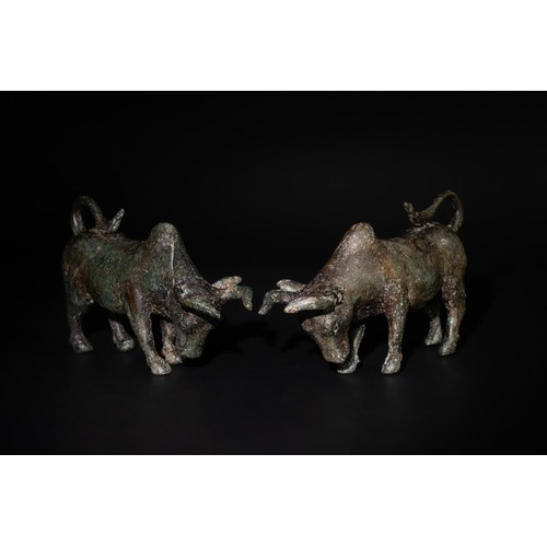 232 - A Pair of Greek Roman Bronze Charging Bulls, 1st Century B.C. - 1st Century A.D.

L: Approximately 1... 