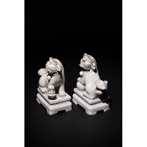 265 - A Pair of Chinese Blanc de Chine Porcelain Guardian Lions on Stands.

A pair of Chinese Blanc de Chi... 