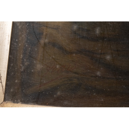 28 - A Continental Portrait Lithograph of a Young Girl, 19th Century.

A finely executed 19th-century Con... 