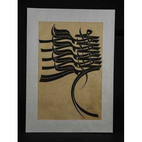 Lot 257       