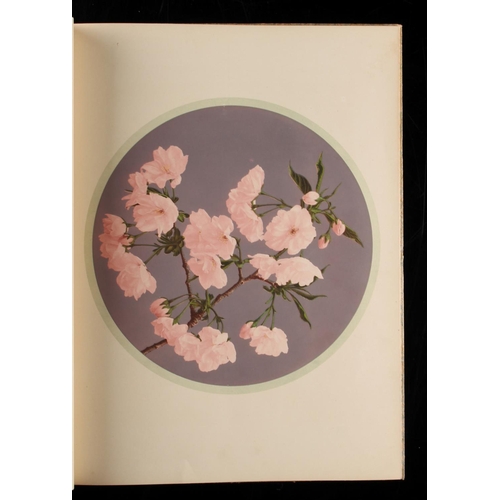 27 - Property of a gentleman - OGAWA, Kazumasa - 'Some Japanese Flowers' - Tokio, nd. (1895), complete wi... 