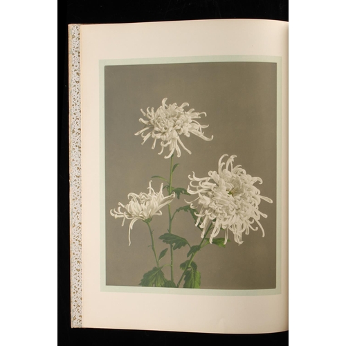 27 - Property of a gentleman - OGAWA, Kazumasa - 'Some Japanese Flowers' - Tokio, nd. (1895), complete wi... 