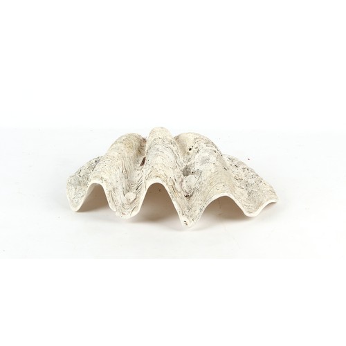 88 - Property of a lady - a giant clam shell half, 32ins. (81.5cms.) wide.