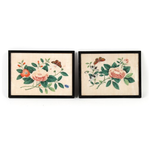 172 - Property of a gentleman - two 19th century Chinese paintings on pith paper depicting butterflies & f... 