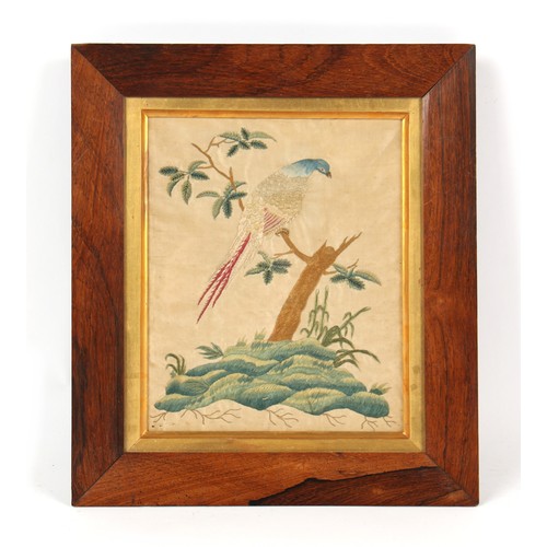 337 - Property of a gentleman - a 19th century silkwork picture depicting a bird perched in a shrub, in gl... 