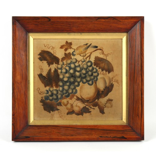 346 - Property of a gentleman - a mid 19th century painted velvet picture depicting a bird pecking grapes,... 