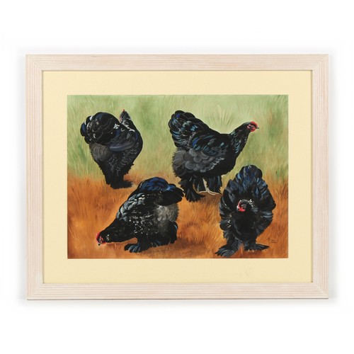 292 - Property of a deceased estate - Maze (late 20th / early 21st century) - BLACK COCHIN CHICKENS - wate... 