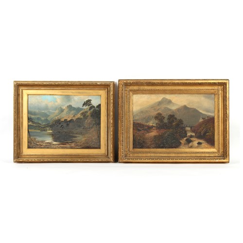 477 - Property of a deceased estate - English school, late 19th century - MOUNTAIN LANDSCAPES WITH LAKE AN... 