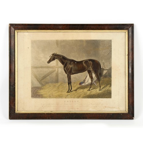 486 - Property of a deceased estate - Charles Hunt after John Frederick Herring - 'POISON', A RACEHORSE IN... 