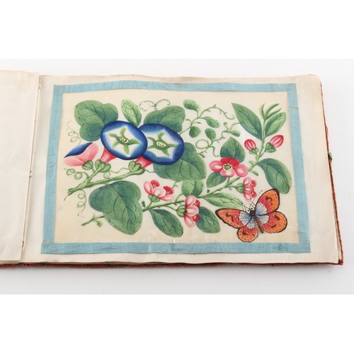 140 - A complete album of twelve 19th century Chinese paintings on pith paper depicting butterflies & flow... 