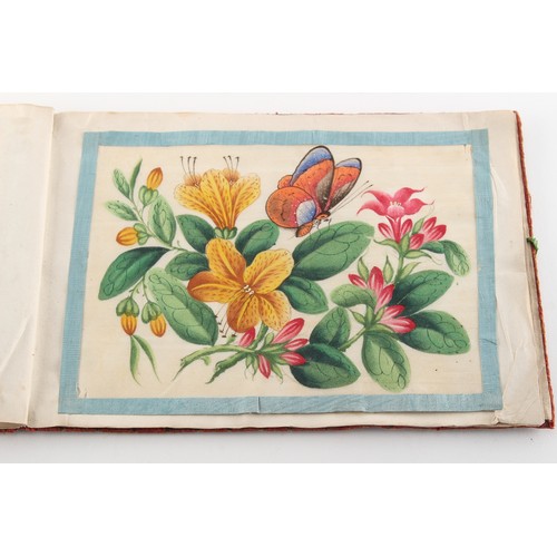 140 - A complete album of twelve 19th century Chinese paintings on pith paper depicting butterflies & flow... 