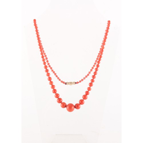 31 - A coral graduated bead necklace, the largest bead approximately 14.5mm diameter, the unmarked gold c... 