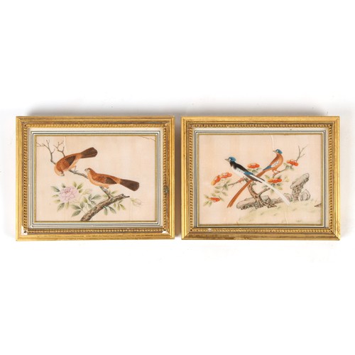 176 - Property of a lady - a pair of 19th century Chinese paintings on pith paper depicting birds in shrub... 