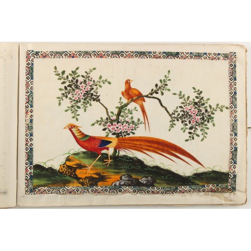 197 - A complete album of twelve 19th century Chinese paintings on pith paper depicting birds, the covers ... 