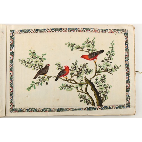 197 - A complete album of twelve 19th century Chinese paintings on pith paper depicting birds, the covers ... 