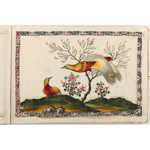 197 - A complete album of twelve 19th century Chinese paintings on pith paper depicting birds, the covers ... 