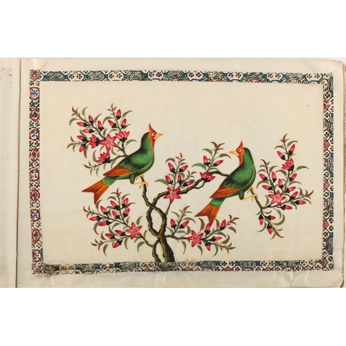 197 - A complete album of twelve 19th century Chinese paintings on pith paper depicting birds, the covers ... 