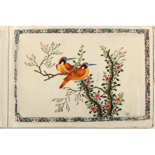 197 - A complete album of twelve 19th century Chinese paintings on pith paper depicting birds, the covers ... 