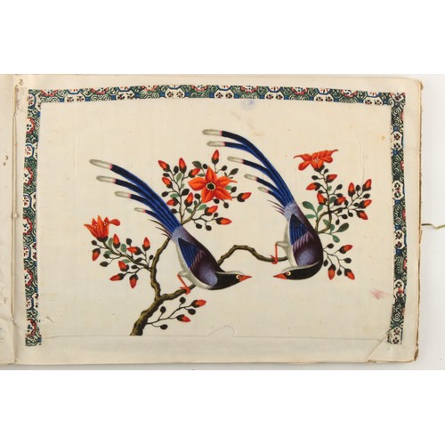 197 - A complete album of twelve 19th century Chinese paintings on pith paper depicting birds, the covers ... 