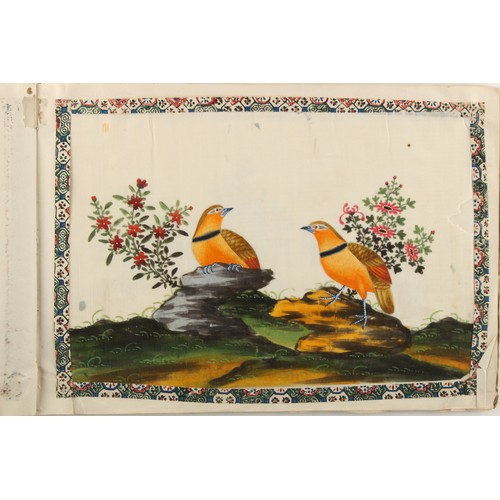 197 - A complete album of twelve 19th century Chinese paintings on pith paper depicting birds, the covers ... 