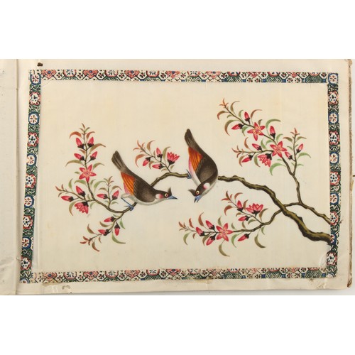 197 - A complete album of twelve 19th century Chinese paintings on pith paper depicting birds, the covers ... 