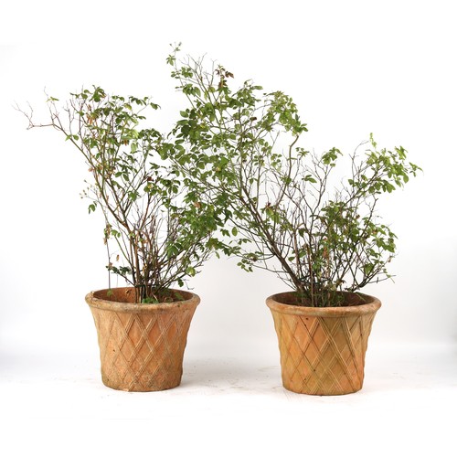 540 - Property of a gentleman - a pair of well weathered terracotta garden planters of basket weave design... 