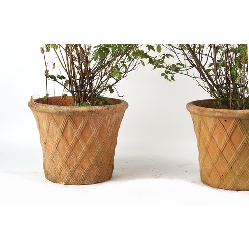 540 - Property of a gentleman - a pair of well weathered terracotta garden planters of basket weave design... 