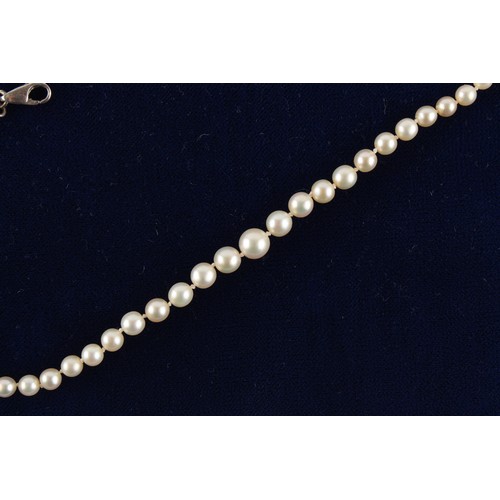 137 - Property of a lady - a certificated natural saltwater pearl single strand necklace, the 83 graduated... 