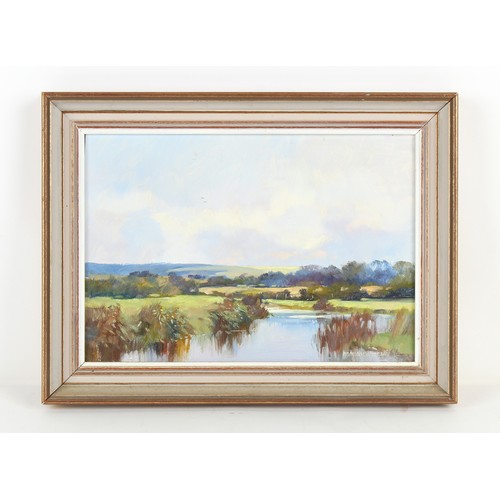 141 - Property of a lady - Norman Battershill RBA ROI (1922-2010) - 'FLOODED FIELDS, HAMMOON, DORSET - oil... 