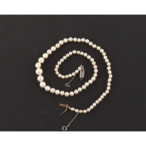 71 - A certificated natural saltwater pearl graduated single strand necklace, the 79 cream coloured pearl... 