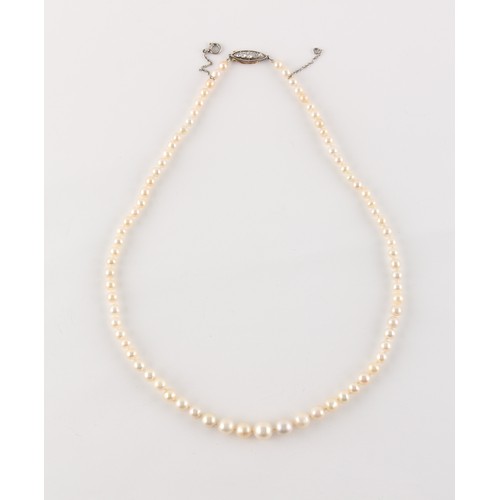 71 - A certificated natural saltwater pearl graduated single strand necklace, the 79 cream coloured pearl... 