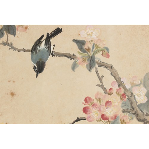 50 - Property of a gentleman - two early 20th century Chinese paintings on paper, one depicting a bird on... 