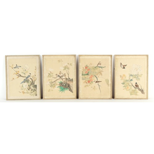 43 - Property of a gentleman - a set of four Chinese paintings on silk depicting birds among flowering sh... 