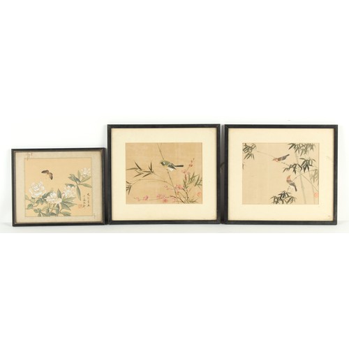 43 - Property of a gentleman - a set of four Chinese paintings on silk depicting birds among flowering sh... 