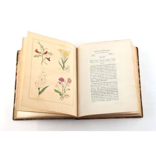 95 - Property of a lady - MAUND, B. - 'The Book of Hardy Flowers, or, Gardeners' Edition of The Botanic G... 