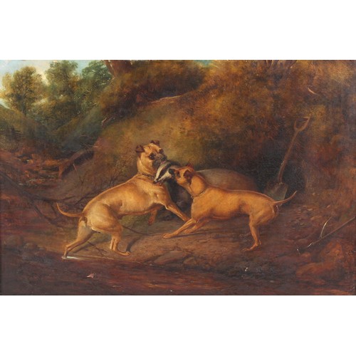 160 - Property of a gentleman - Philip Reinagle (1749-1833) - TWO MASTIFFS AND A BADGER - oil on canvas, 2... 