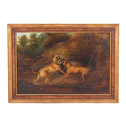 160 - Property of a gentleman - Philip Reinagle (1749-1833) - TWO MASTIFFS AND A BADGER - oil on canvas, 2... 