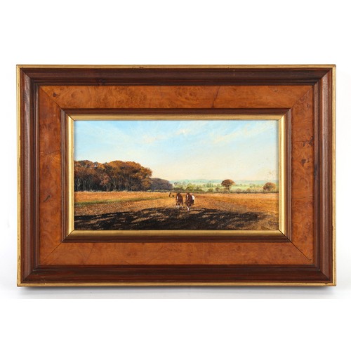 164 - Property of a gentleman - Clive Madgwick (1934-2005) - A PLOUGHING SCENE - oil on board, 6 by 11.25i... 