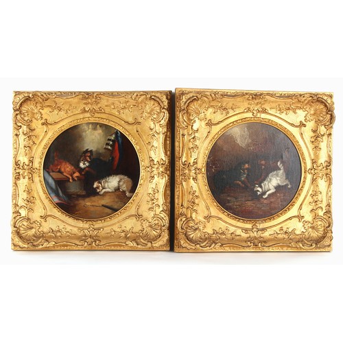 159 - Property of a gentleman - follower of George Armfield (1808-1893) - TERRIERS RATTING - a pair, round... 