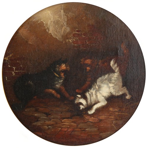 159 - Property of a gentleman - follower of George Armfield (1808-1893) - TERRIERS RATTING - a pair, round... 