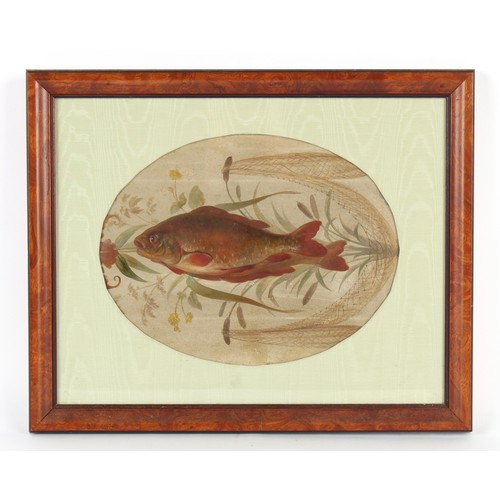 139 - Property of a lady - late 19th / early 20th century - FRESHWATER FISH, PROBABLY PERCH - oil, an oval... 