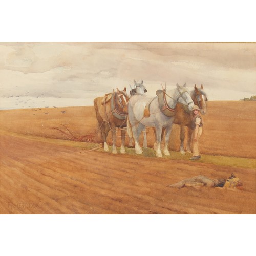 205 - Property of a lady - Albert Cox (late 19th / early 20th century) - PLOUGHING SCENES - two watercolou... 