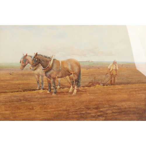 205 - Property of a lady - Albert Cox (late 19th / early 20th century) - PLOUGHING SCENES - two watercolou... 