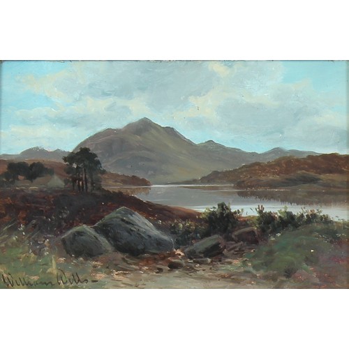 123 - Property of a lady - William Wells (late 19th / early 20th century) - 'LOCH ACHRAY, TROSSACHS, SCOTL... 