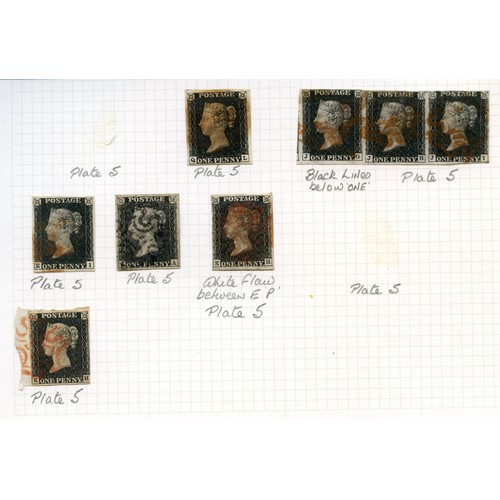 Lot 13        