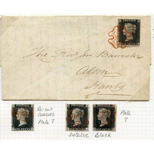 Lot 17        
