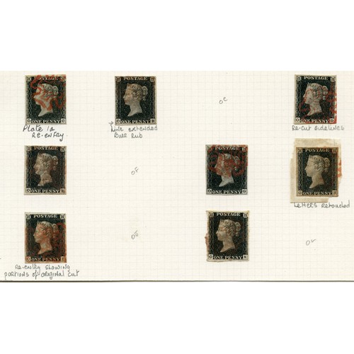 Lot 35        