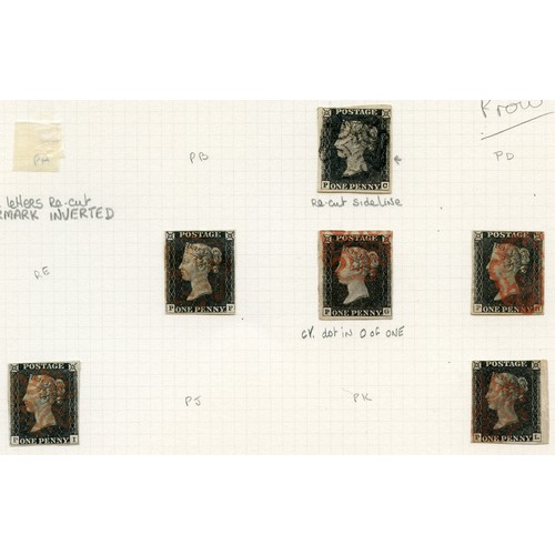 Lot 36        