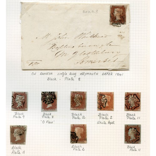 Lot 43        